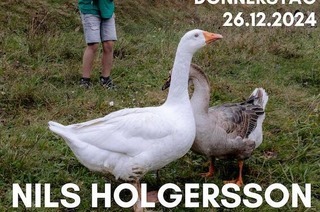 Nils Holgersson - Kindertheater mit Musik