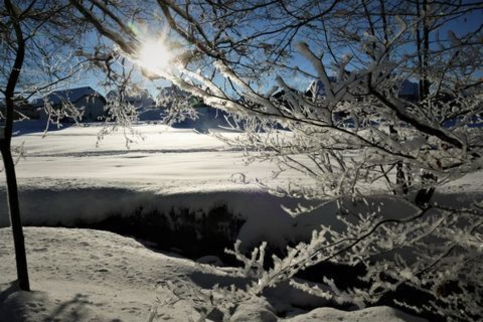 Winterwanderung rund um St. Peter - St. Peter