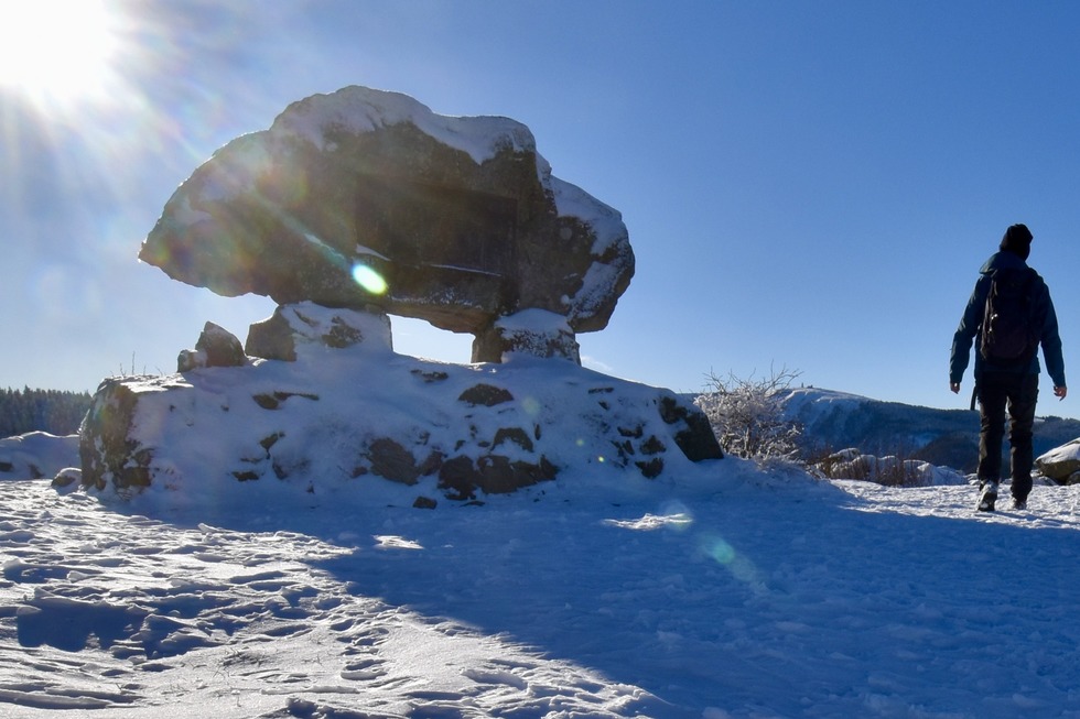 Winterwanderung auf den Hinterwaldkopf - Hinterzarten