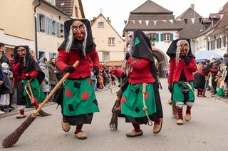 Sulzbachtal-Narrenumzug