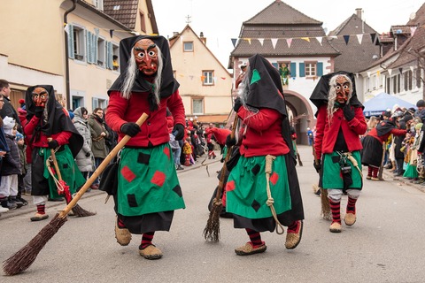 44. Sulzbachtal-Narrenumzug - Sulzburg - 09.03.2025 13:31