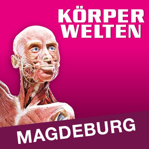 KRPERWELTEN | Magdeburg | Flex- / Geschenkticket - Magdeburg - 16.05.2025 09:00