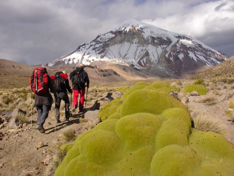 Abenteuer Fernweh: Abenteuer im Hochland Boliviens - Markkleeberg - 18.03.2025 19:00