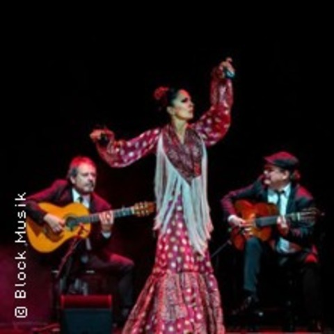 Antonio Andrade Compania Flamenca - WUNSTORF - 27.06.2025 20:30