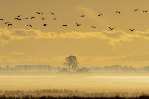 Deutschlands Paradiese - Wildnis im Wandel - Zingst - 28.05.2025 20:00