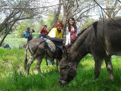 Eselwanderung & Wildkruterfhrung mit Oliver Haury - Bad Krozingen - 28.06.2025 13:00