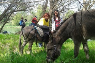 Eselwanderung & Wildkruterfhrung mit Oliver Haury