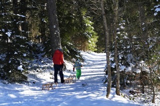 Winterwanderung bei Dachsberg