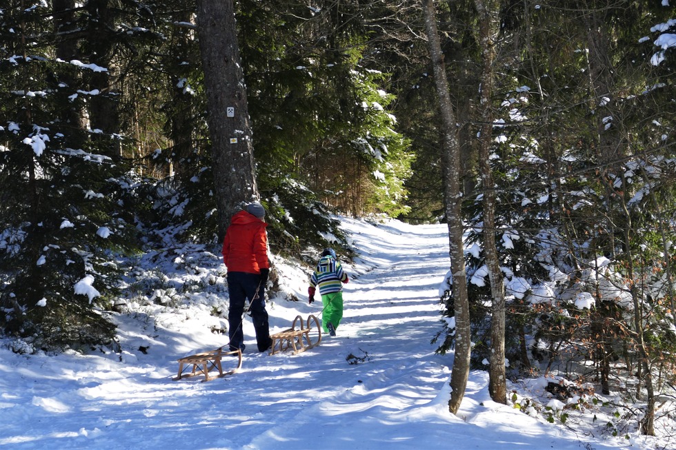 Winterwanderung bei Dachsberg - Dachsberg