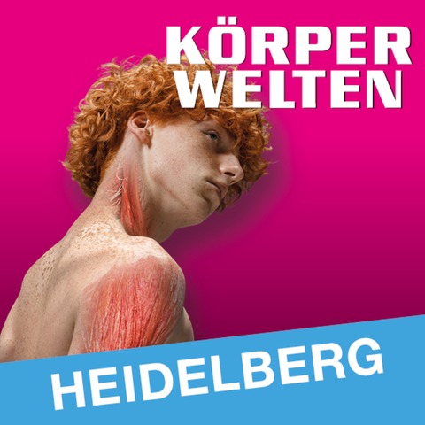 KRPERWELTEN | Heidelberg | Zeitfensterticket - Heidelberg - 02.01.2025 10:00