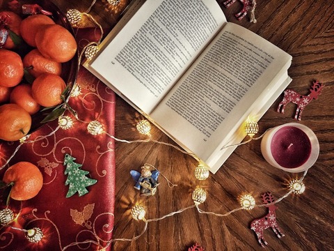 Vorfreude auf Weihnachten: Nicole Gospodarek liest die Weihnachtsgans Auguste mit illustren Zutaten - Neuzelle - 14.12.2025 15:30