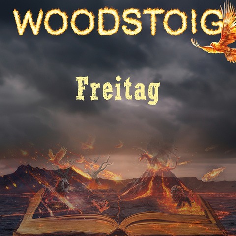 Woodstoig Festival 2025 - Einzelticket FREITAG - Riedhausen - 01.08.2025 19:00