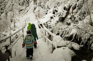 Winterwanderung zum Fahler Wasserfall