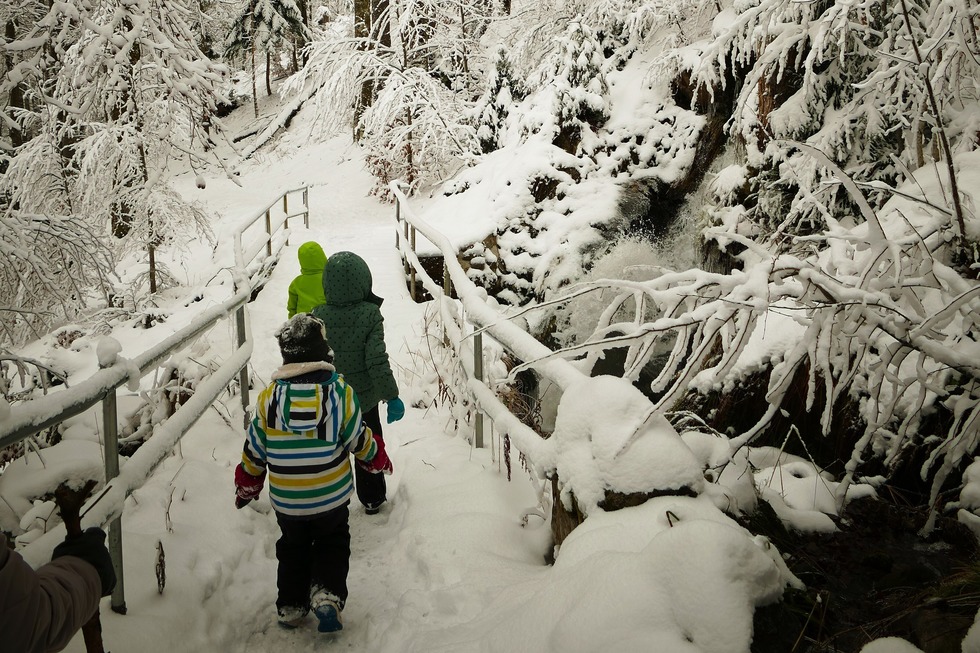 Winterwanderung zum Fahler Wasserfall - Todtnau