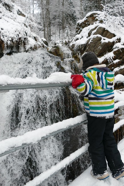 Winterwanderung zum Fahler Wasserfall - Todtnau