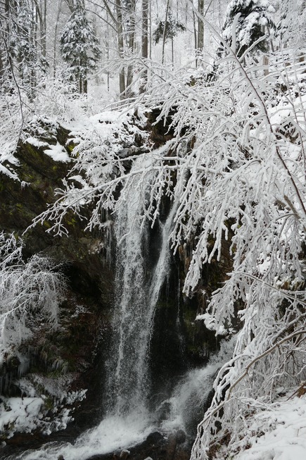 Winterwanderung zum Fahler Wasserfall - Todtnau