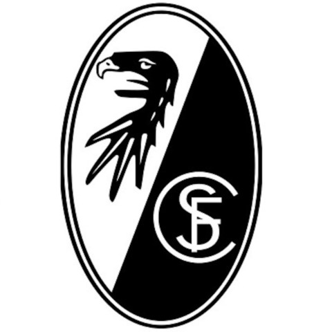 FSV Frankfurt - SC Freiburg II - Frankfurt am Main - 16.02.2025 14:00