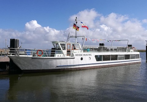 Schiffstour mit der &#8222;Weissen Muschel&#8220; - 1,5 Stunden - Schiffstour mit der &#8222;Weissen Muschel&#8220; - 1,5 Stunden - Prenzlau - 11.10.2025 14:00