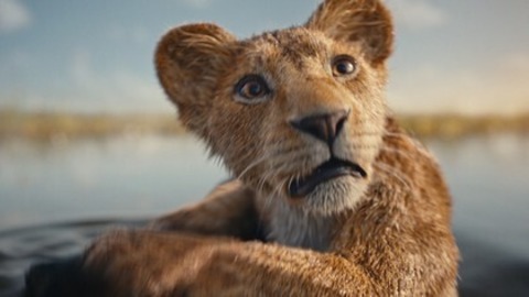 Mufasa: Der Knig der Lwen 3D - Weil am Rhein - 22.12.2024 14:30