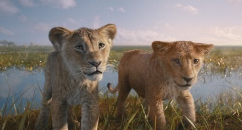 Mufasa: Der Knig der Lwen 3D - Weil am Rhein - 22.12.2024 14:30