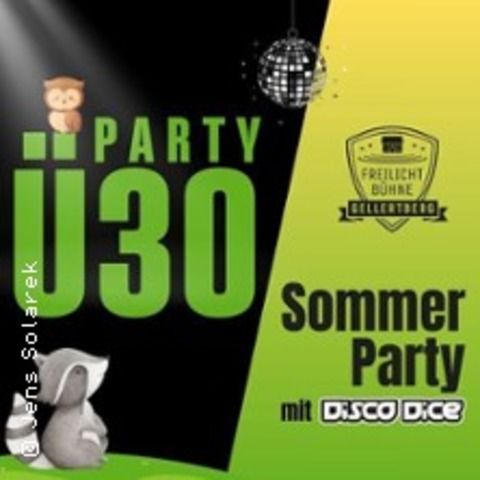 30 Sommer Party - mit den Disco Dice - NIEDERAU / OT OBERAU - 23.08.2025 20:00