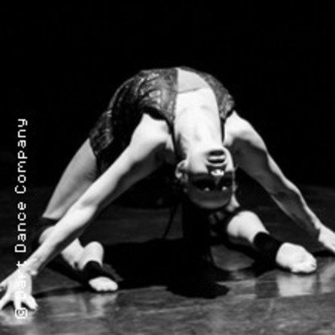 Dart Dance Company - Golden Fishes - BERLIN - 25.01.2025 19:00