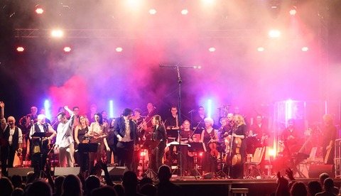 Capitol Symphonie Orchester - Klasse Klassik Sommer beim Sommer am See - Wlfersheim - 08.08.2025 20:00