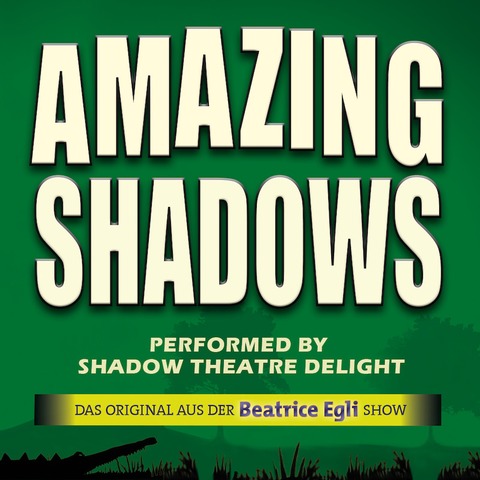 AMAZING SHADOWS - Auergewhnlich! Atemberaubend! Spektakulr! - Emden - 15.02.2025 20:00