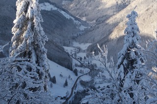 Panoramaloipe am Feldberg