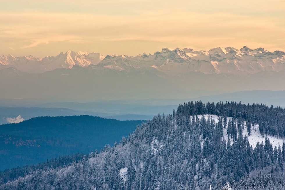 Panoramaloipe am Feldberg - Feldberg