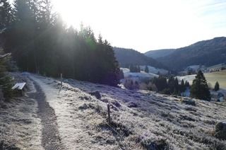 Winterwandern bei Muggenbrunn