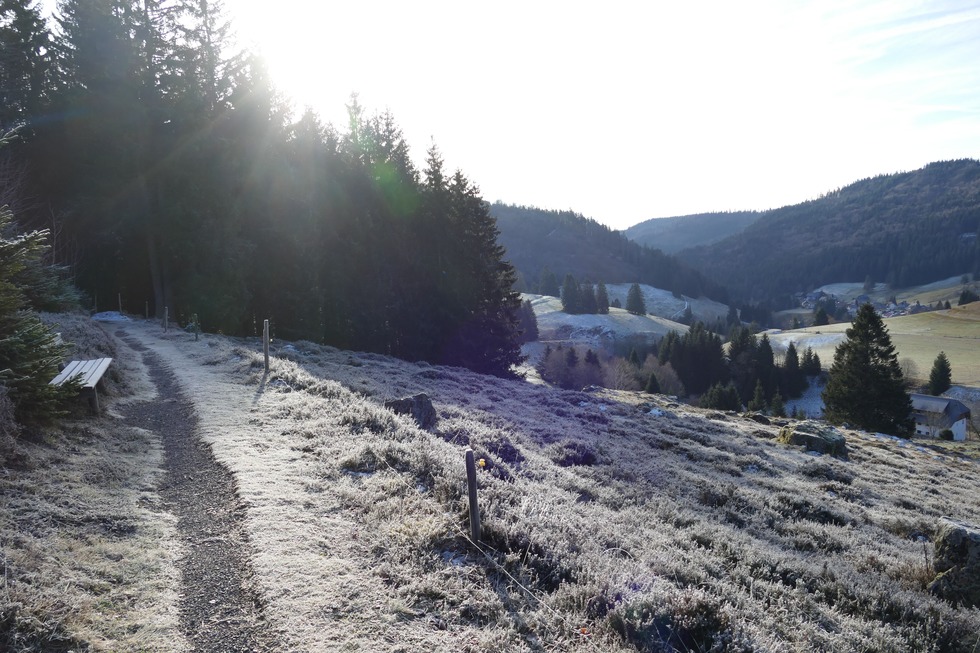 Winterwandern bei Muggenbrunn - Todtnau