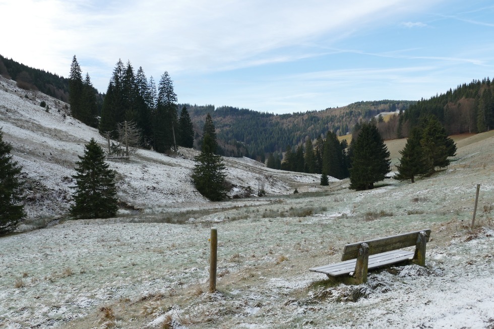 Winterwandern bei Muggenbrunn - Todtnau