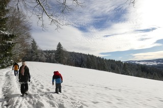 Winterwandern von St. Mrgen nach St. Peter