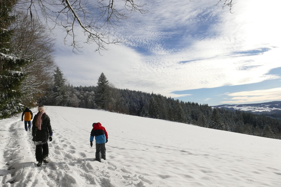 Winterwandern von St. Mrgen nach St. Peter - St. Peter