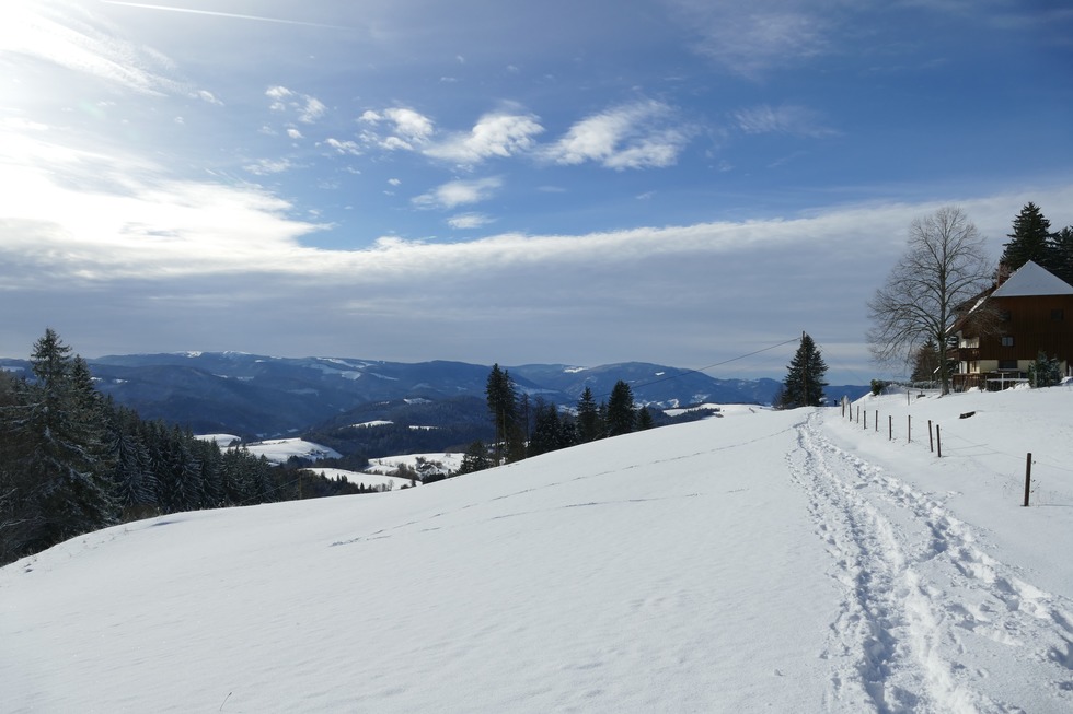 Winterwandern von St. Mrgen nach St. Peter - St. Peter