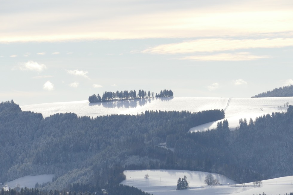 Winterwandern von St. Mrgen nach St. Peter - St. Peter