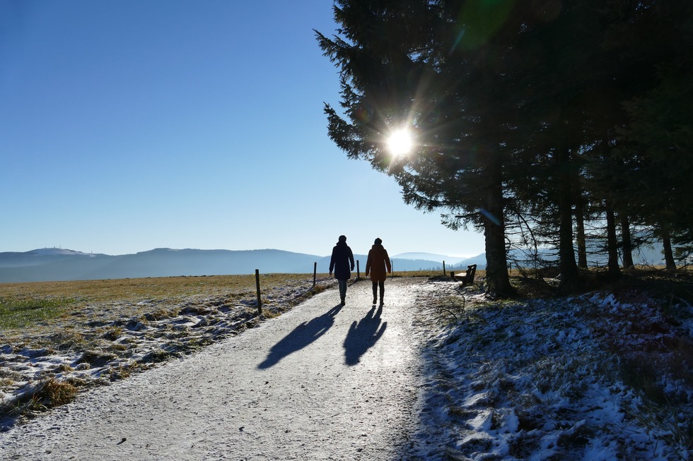 Winterwandern zwischen Notschrei und Schauinsland - Todtnau