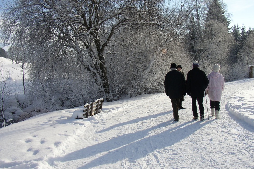 Winterwandern auf dem Panoramaweg Bernau - Bernau