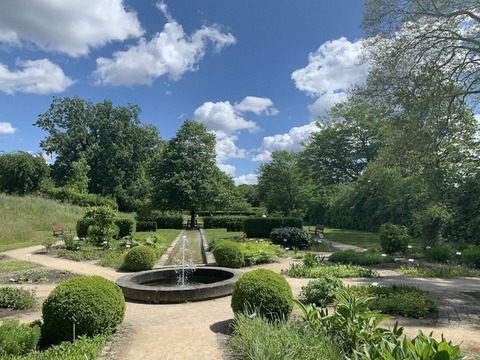 ffentliche Fhrung im Heilpflanzengarten - ffentliche Fhrung im Heilpflanzengarten - Celle - 10.05.2025 15:00