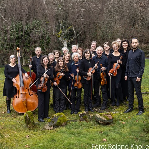 Marburger Kammerorchester: Kammermusik der Klassik und Romantik - Marburg - 28.09.2025 18:00