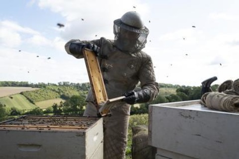 The Beekeeper - Basel - 10.01.2025 16:15