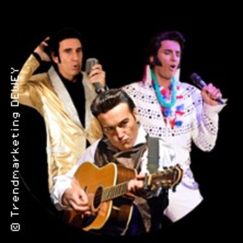 Elvis meets Cash - Live mit Band! - Witten - 23.11.2025 18:00