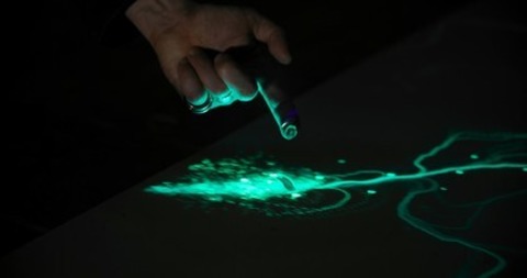 Tracing Light - Die Magie des Lichts - Freiburg - 22.01.2025 18:30