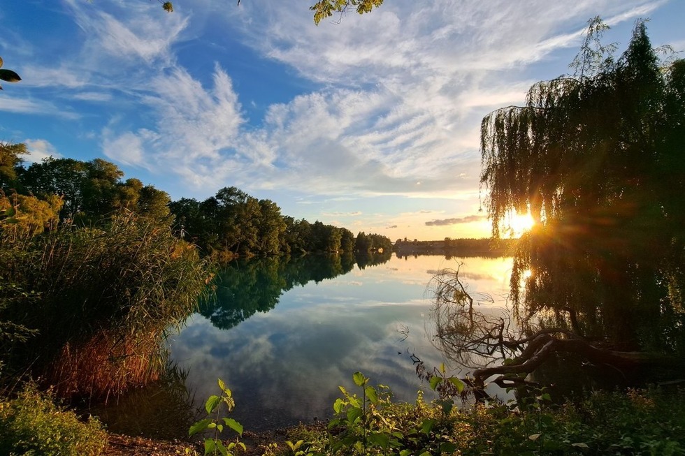 Rimsinger Baggersee - Breisach