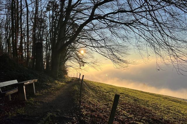 Aussichtspunkt bei Bitzighofen