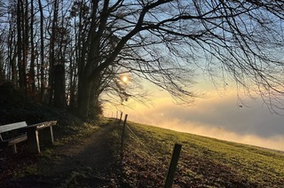 Aussichtspunkt bei Bitzighofen