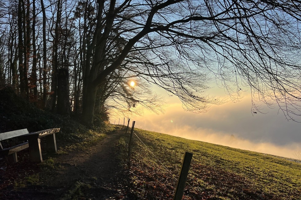 Aussichtspunkt bei Bitzighofen - Wittnau