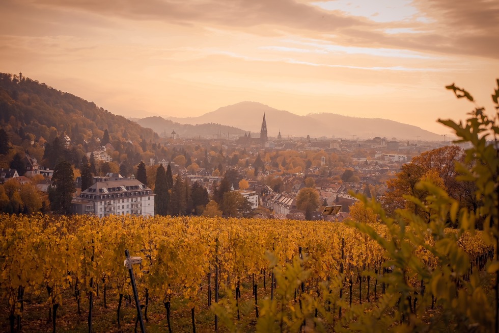 Hebsackwiese / Eichhalde (Herdern) - Freiburg