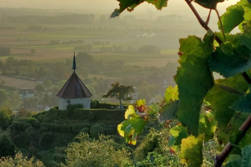 lberg (Ehrenstetten) - Ehrenkirchen